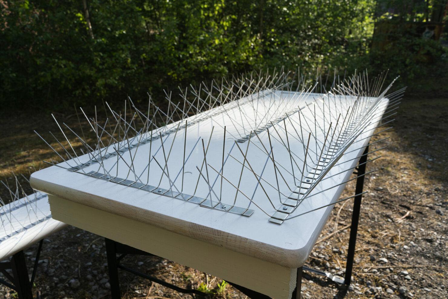 Matthieu Martin, Picnic table, Rubug Festival, art installation, graffiti